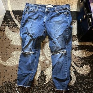 Torrid Size 14 Jeans with Knee Rips